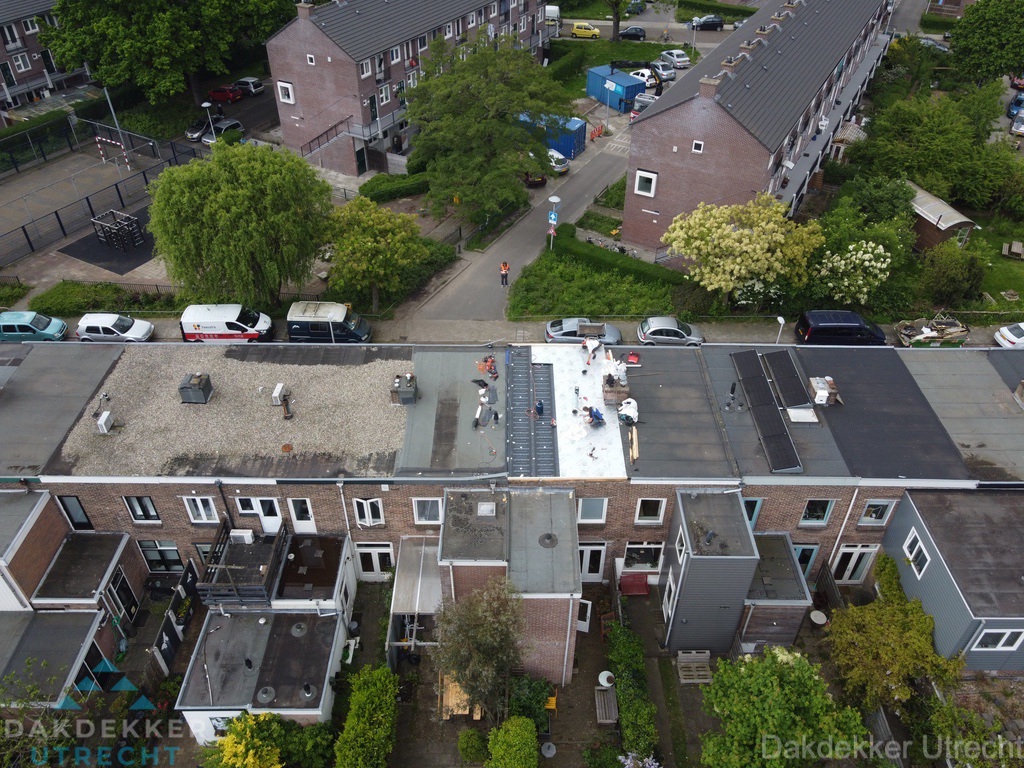 Dakinspectie In Utrecht Dakinspectie In Utrecht